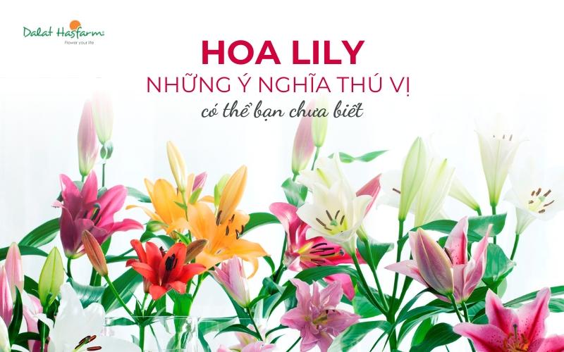 Cấu tạo độc đáo của bông hoa ly bách hợp